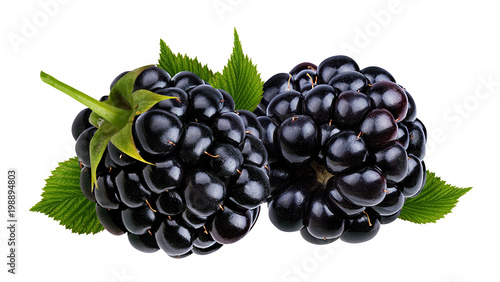 Fresh blackberry with leaf isolated on white background with clipping path