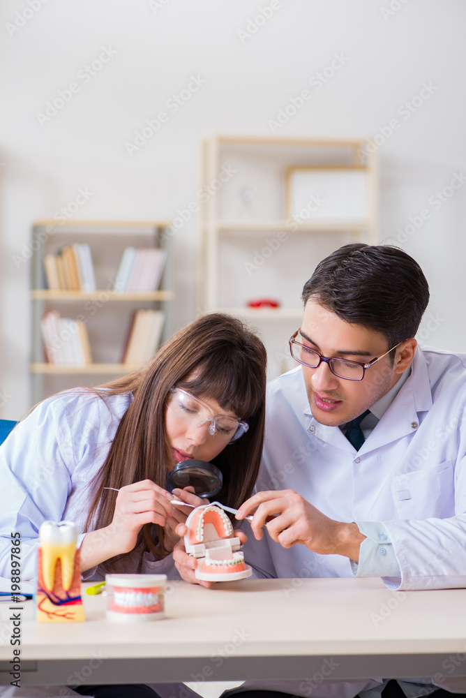 Dentist explaining student tooth structure Dentist explaining student tooth structure