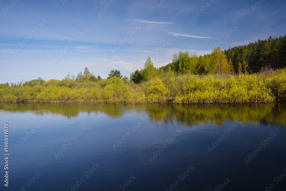 Spring on the forest river. Spring on the forest river.