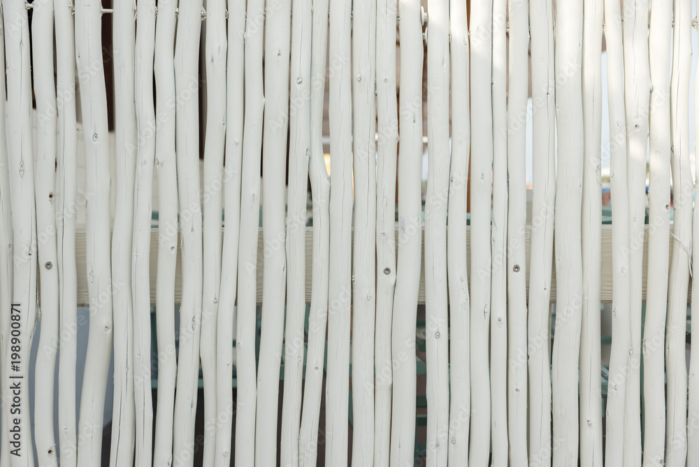White wood texture wood White wood texture wood