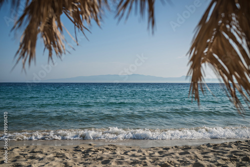 Fototapeta Naklejka Na Ścianę i Meble -  Beach holiday background, calm sea palm tree