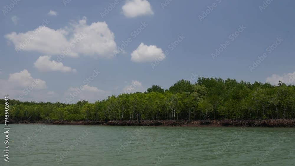 sail view along the mangroves forest beside sea. sail view along the mangroves forest beside sea.