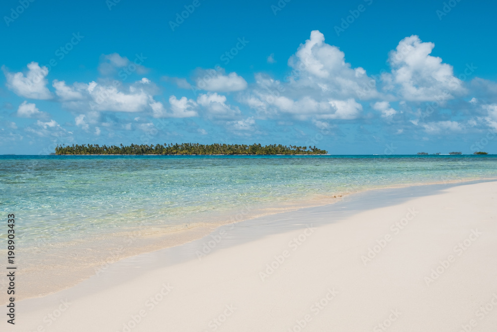 white sand beach and palm trees on island - San Blas white sand beach and palm trees on island - San Blas