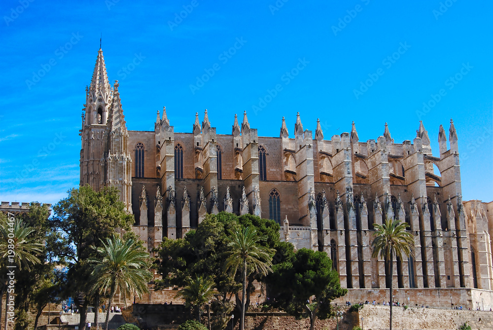CATHEDRAL, MAJORCA, SPAIN