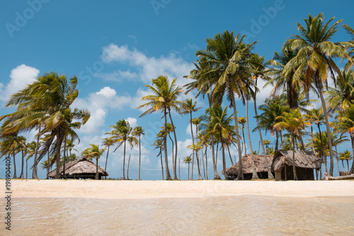 Fototapeta Naklejka Na Ścianę i Meble -  beach vacation - summer holiday on island beach with palm trees