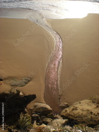 The Great Ocean Road - Australia