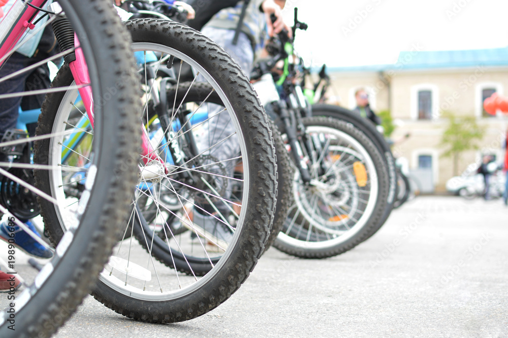 Bicycle wheels. A group of cyclists. Bicycle tour Bicycle wheels. A group of cyclists. Bicycle tour