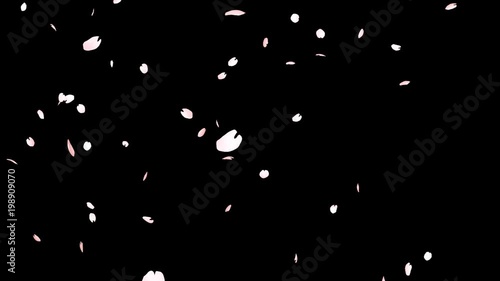 CG桜の花びら