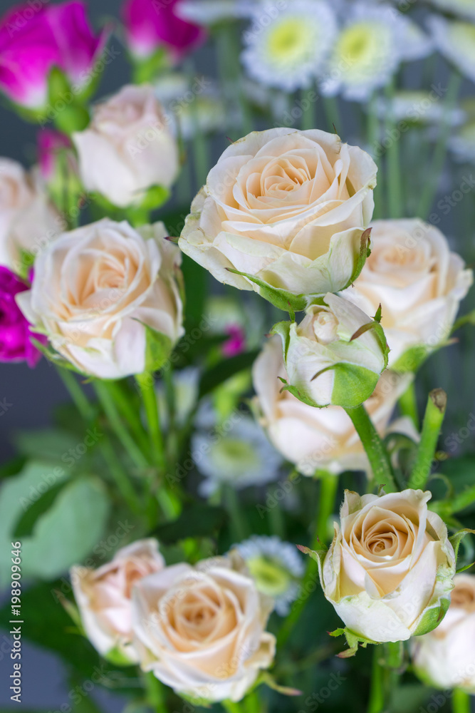 white and red roses. background white and red roses. background
