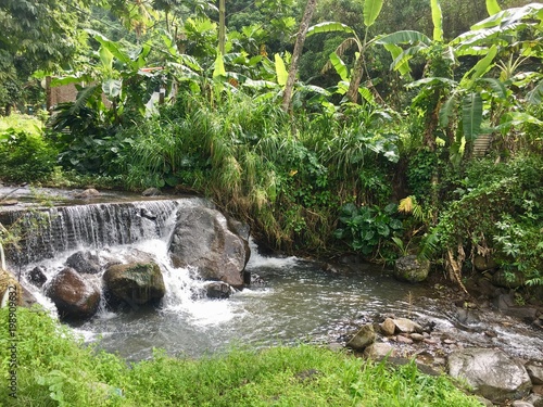 Martinican waterfall