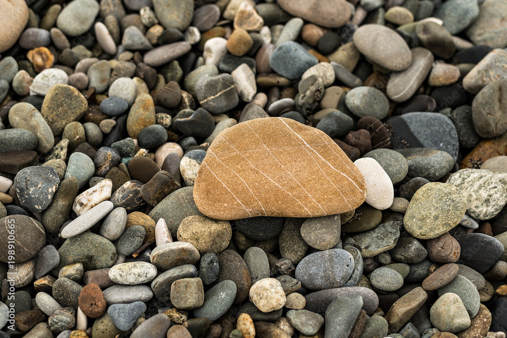 Stone with a pattern on the beach Stone with a pattern on the beach