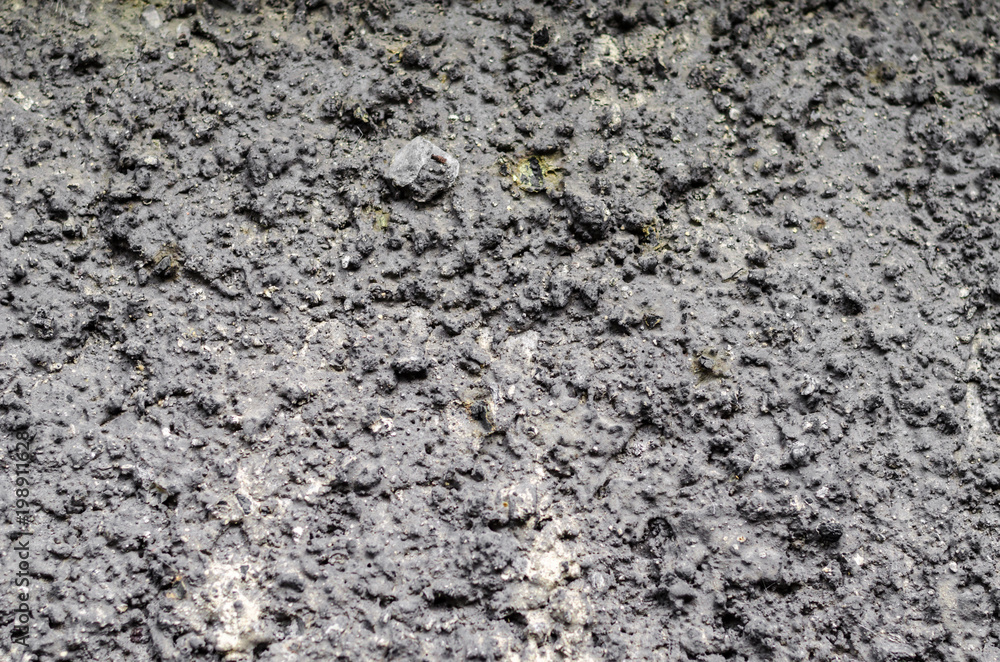 texture of gray decorative plaster on the whole frame texture of gray decorative plaster on the whole frame