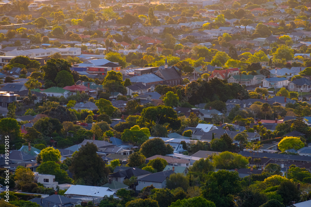 View of a town in Auckland, New Zealand. View from Mt. Eden.