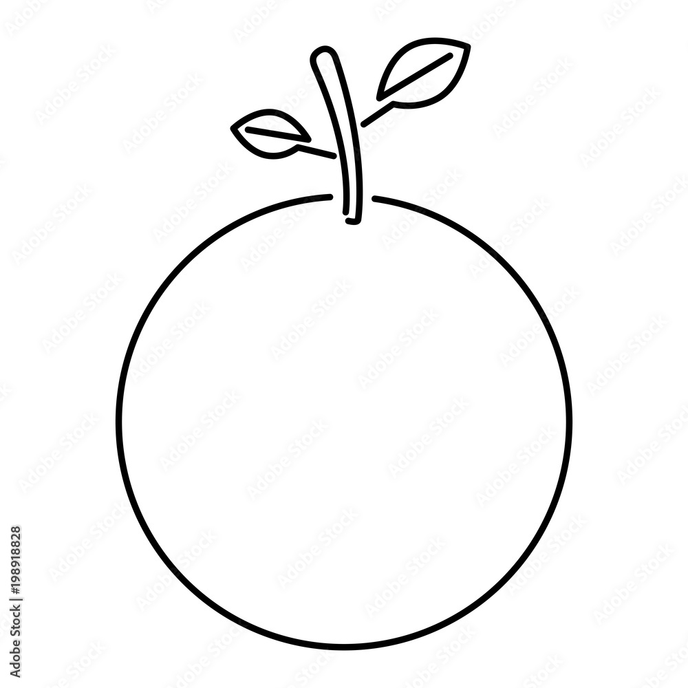 orange citrus and fresh fruit icon orange citrus and fresh fruit icon