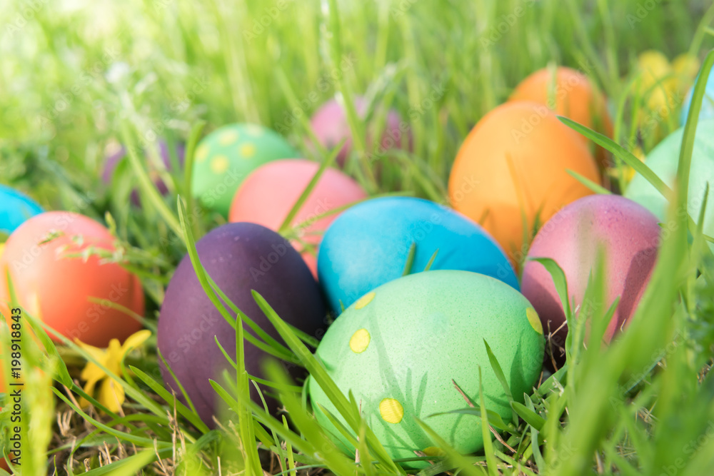Easter egg ! happy colorful Easter sunday hunt holiday decorations Easter concept backgrounds with copy space Easter egg ! happy colorful Easter sunday hunt holiday decorations Easter concept backgrounds with copy space