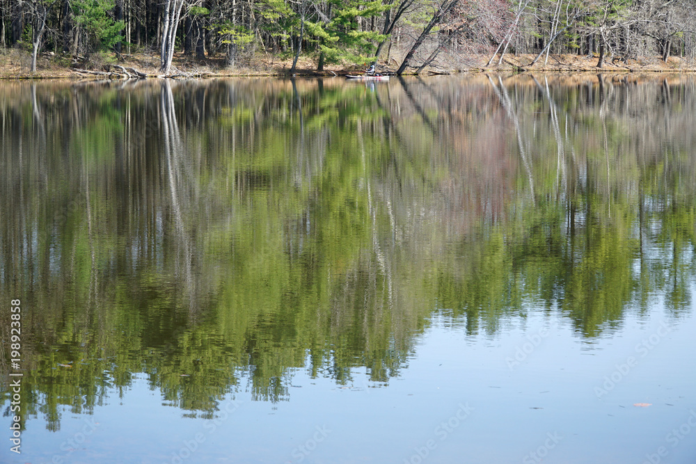 spring forest reflecting in tranquil lake water surface spring forest reflecting in tranquil lake water surface