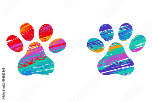Two cat's colorful paws