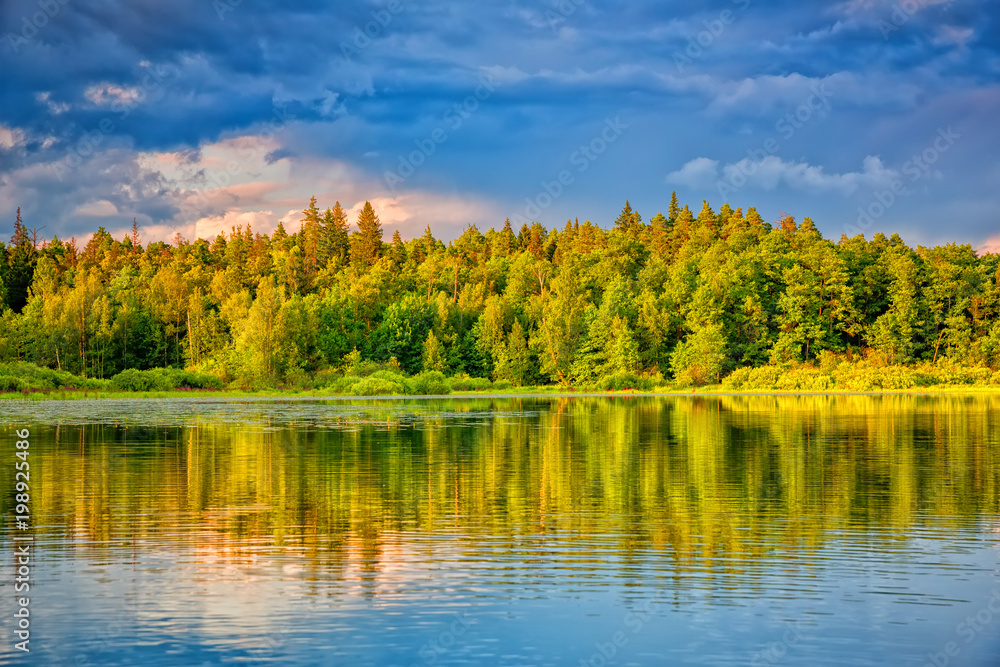 Beautiful forest lake at sunset