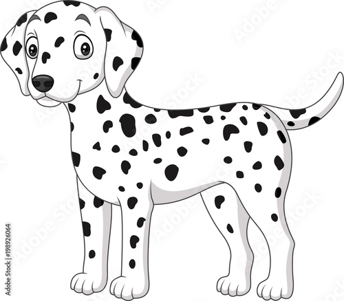 Cartoon cute dalmatian dog isolated on white background