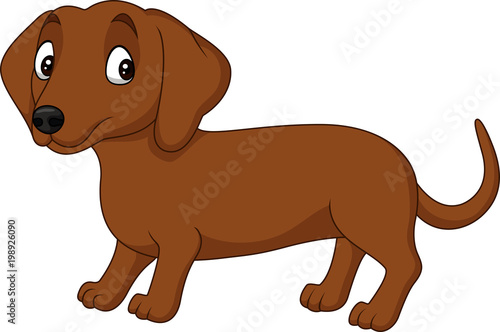 Cartoon dachshund dog isolated on white background