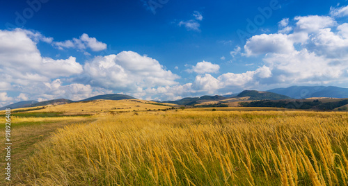 Pastoral scenery in autumn  in a remote rural area in Eastern Europe