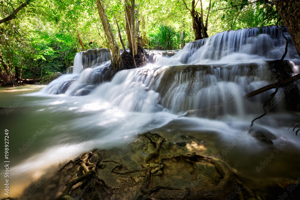 Deep forest waterfall