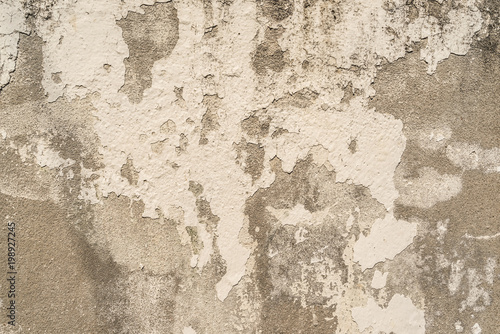 Wallpaper Mural Grunge texture background. Can be use as background texture or wallpaper. Torontodigital.ca