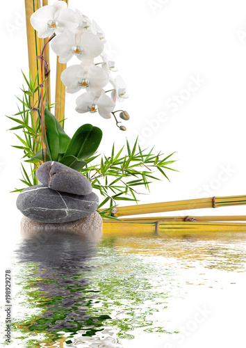 bambou, orchidée et galets avec reflets 