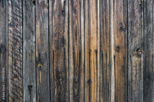 Old wood planks and boards with old rusty black hats of nails background texture