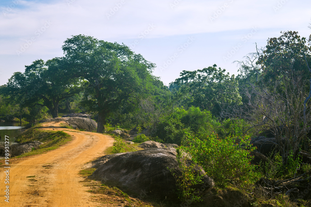 Yala National Park, Sri Lanka, Asia. Yala National Park, Sri Lanka, Asia.