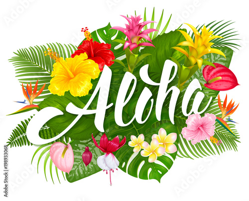 Aloha Hawaii lettering and tropical plants