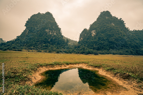 a puddle in a field in Vietnam