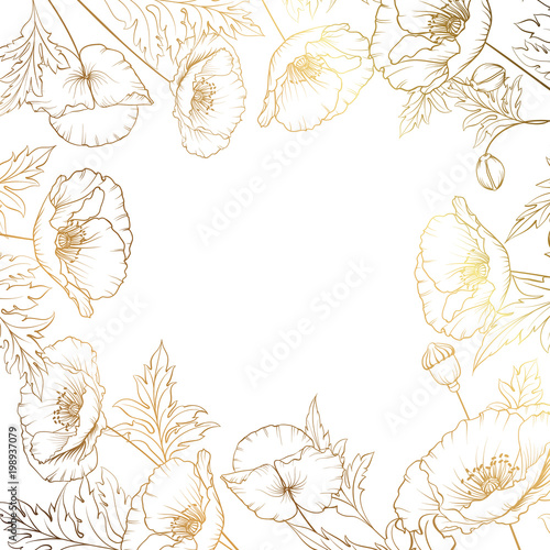 Frame with wreath of golden poppies isolated on white. Vector illustration.