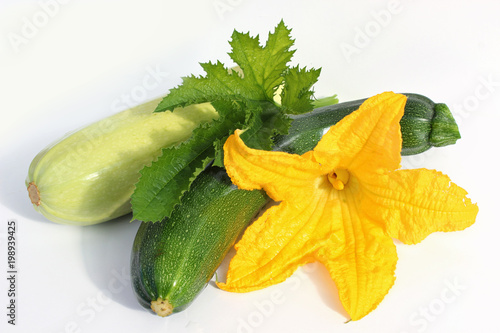 Fresh zucchini with flower and leaves