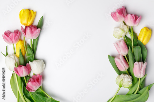 Fototapeta Naklejka Na Ścianę i Meble -  Tender spring tulips isolated on white