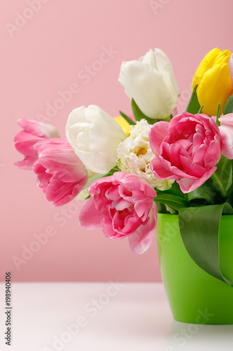 Tender blooming tulips in vase on pink background