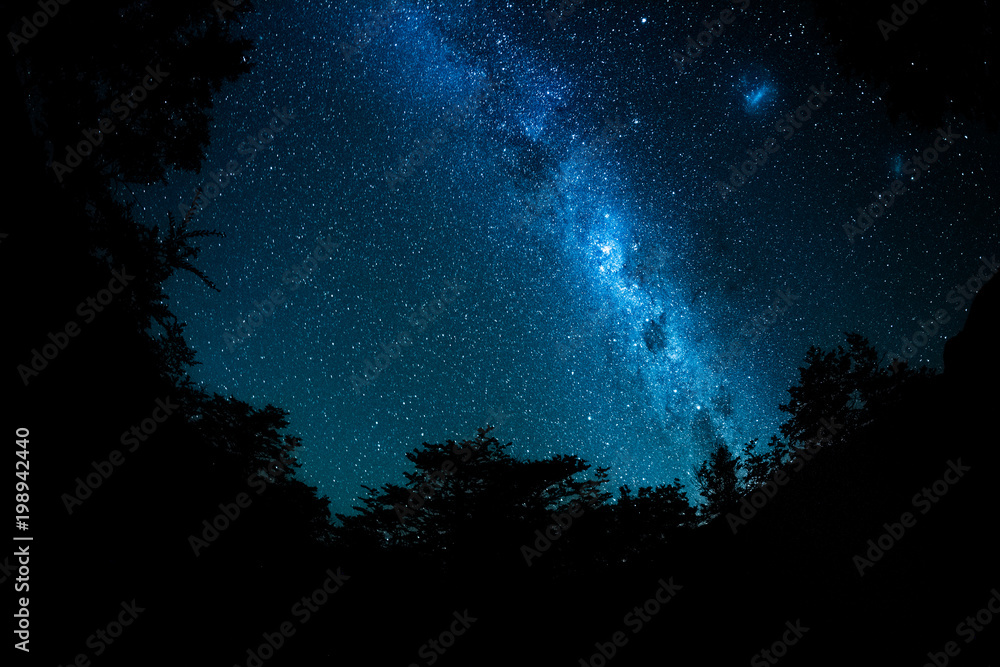 Starry sky and Milky Way galaxy with trees around the frame