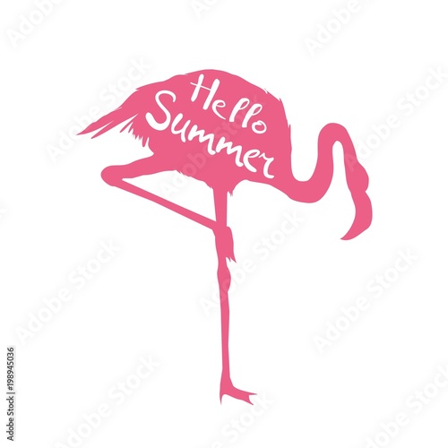 Flamingo. Vector illustration © Vladimir