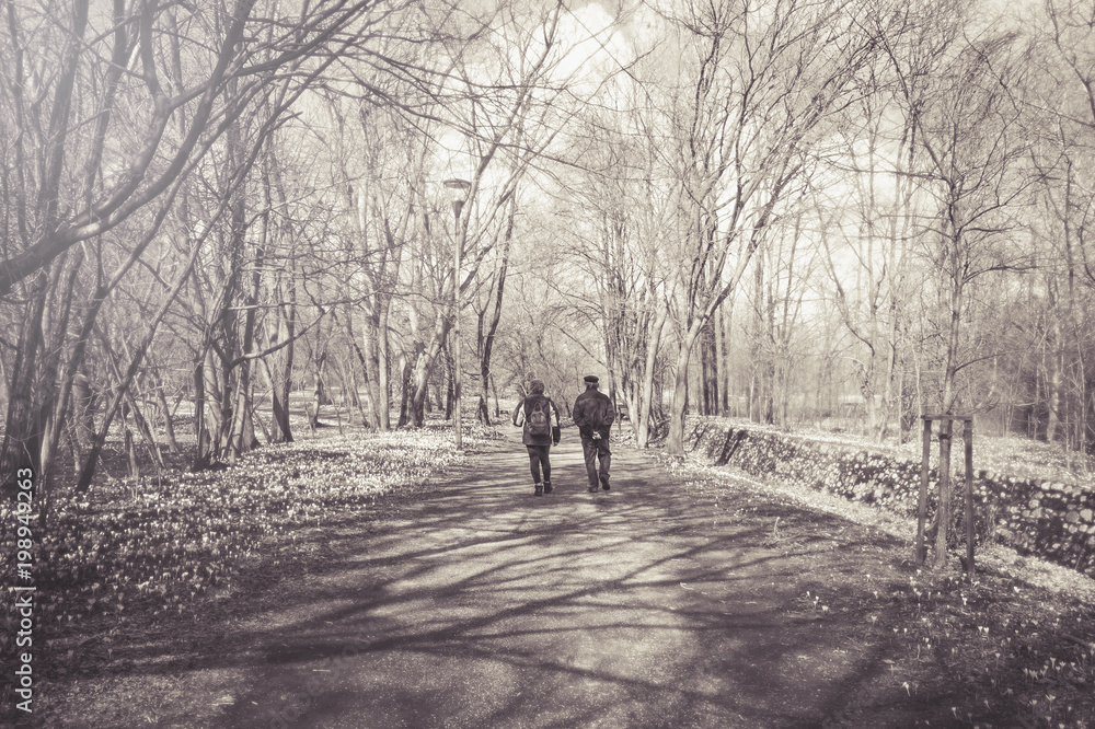 couple walking in scenic park, durature relationship concept in the nature vintage effect couple walking in scenic park, durature relationship concept in the nature vintage effect