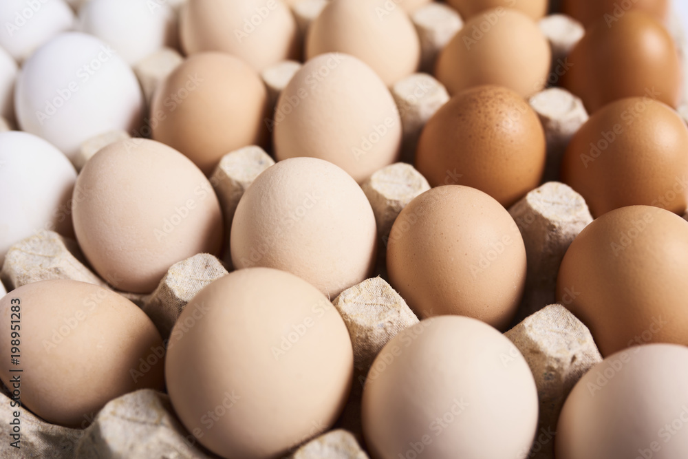 Fresh eggs over background Fresh eggs over background