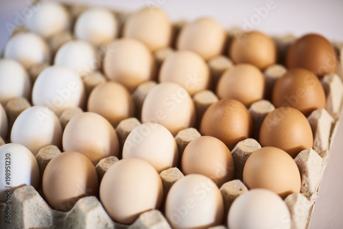 Fresh eggs over background