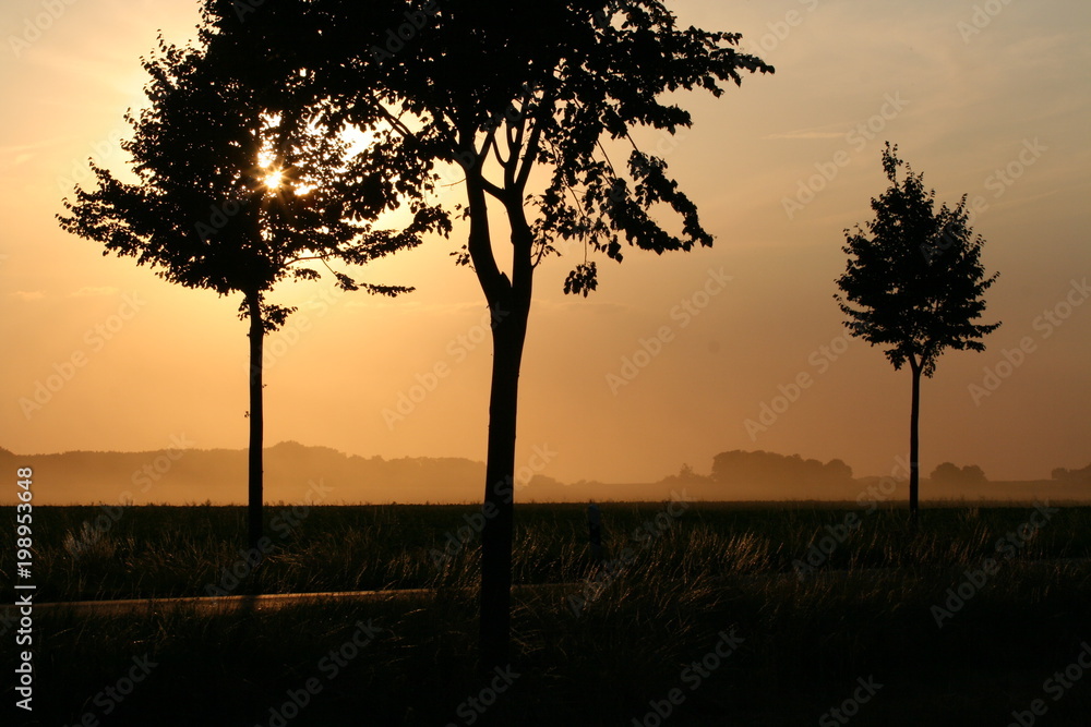 Fototapeta premium Abend