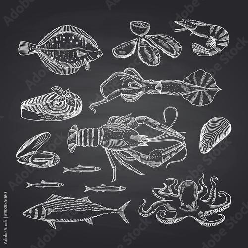 Vector hand drawn seafood elements on black chalkboard set