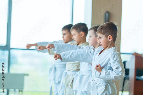 young, beautiful, successful multi ethical kids in karate position