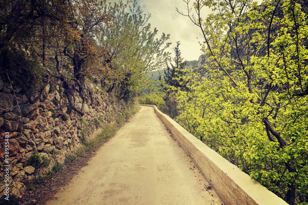 Fototapeta premium Path in Qadisha Valley North Lebanon during Spring , Forest Path