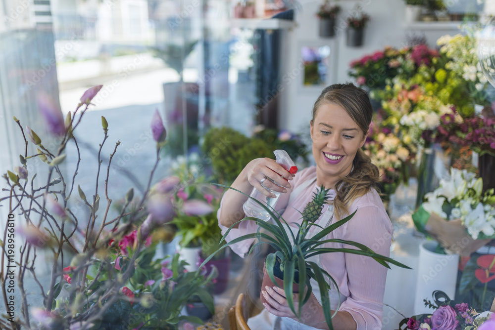 Fototapeta premium View through the window shops. Beautiful girl florist takes care of pineapple