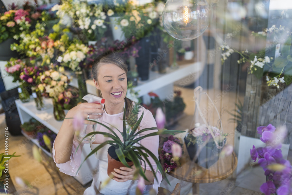 View through the window shops. Beautiful girl florist takes care of pineapple. Cheerful charming young woman florist in flower shop