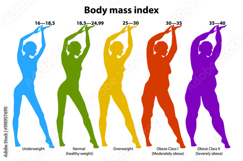 Body mass index  (BMI). Vector medical infographic. 