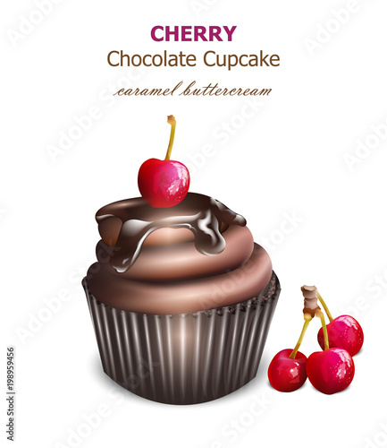 Chocolate cupcake with cherry fruit Vector. Retro vintage backgrounds