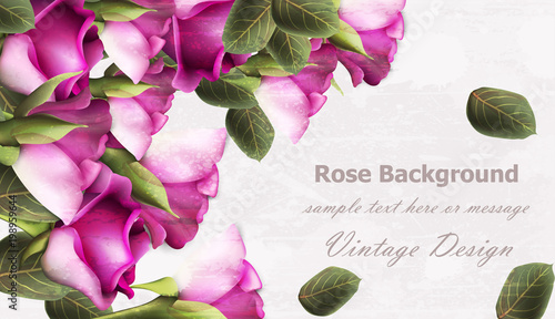 Vintage roses background Vector. Grunge texture layout illustration